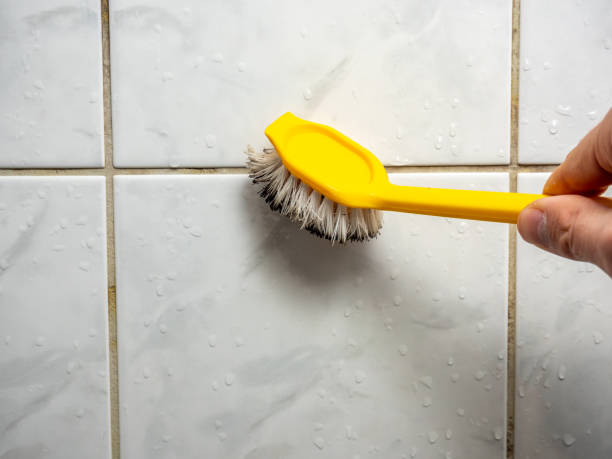 Best Residential Mold Removal  in Fairview, CA
