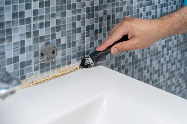 Best Mold Removal Specialists  in Fairview, CA