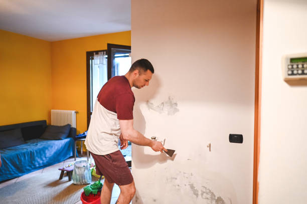 Professional Mold Removal in Fairview, CA